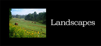 Landscapes